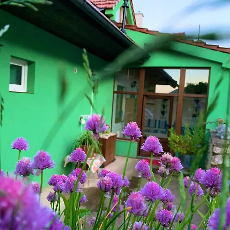 Guest house Moravia *